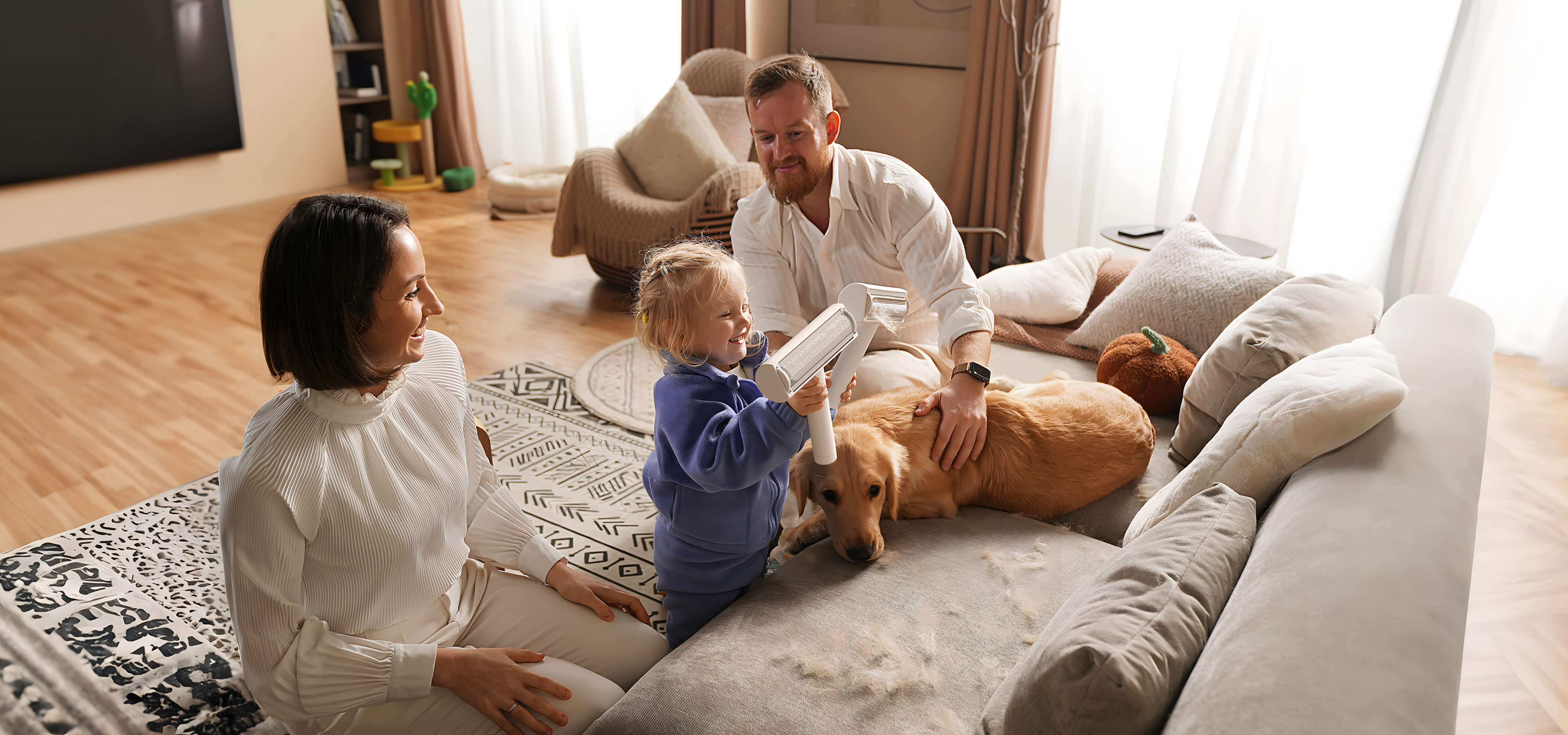 how to remove dog hair from sofa